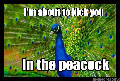 peacock2_zps51e3b344.jpg