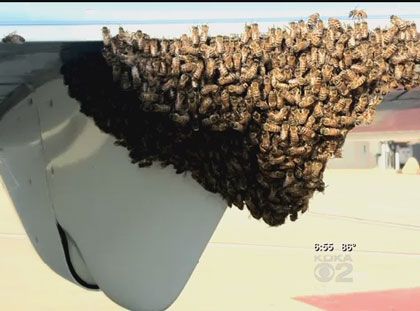 Preview image for a collapsed post.