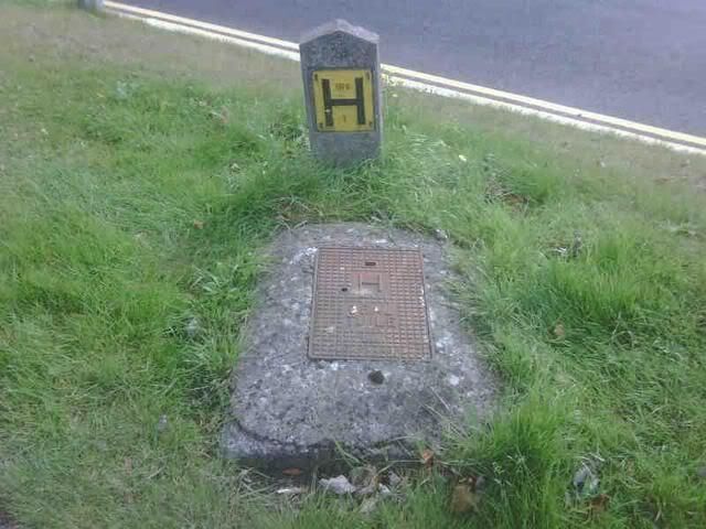 h_from_steps_is_dead.jpg