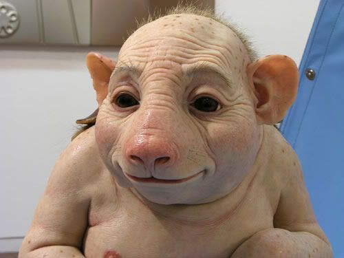pigman.jpg