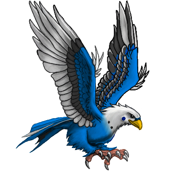 Blue Parakeet Roc