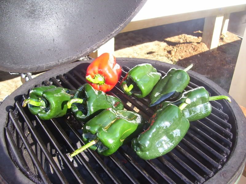 08-02-09RoastingPeppers.jpg