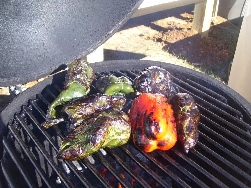 08-02-09RoastingPeppersReadytoPull.jpg