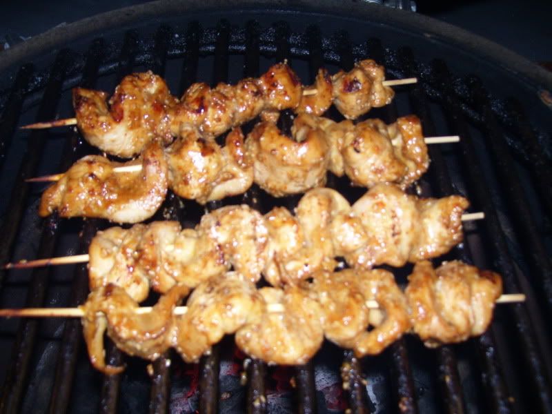 26-02-10GingerLimChickenKabobsonthe.jpg