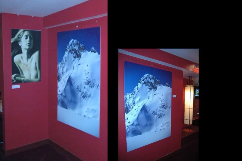 Sawtooth Mountains X-C Skiers on display Sawtooth Mountains X-C Skiers on display