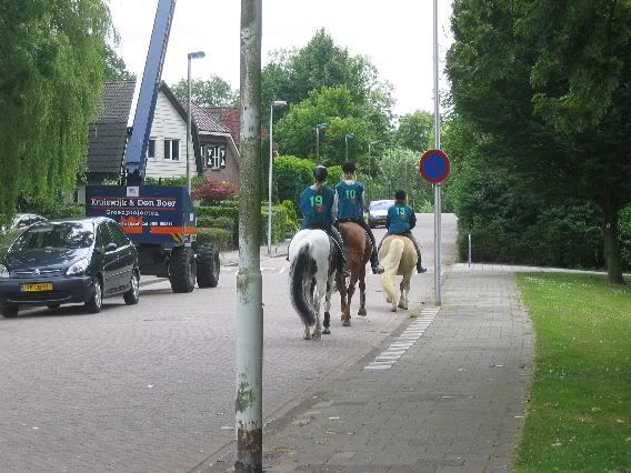 Paarden