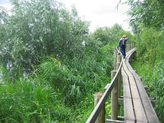 Smalle brug