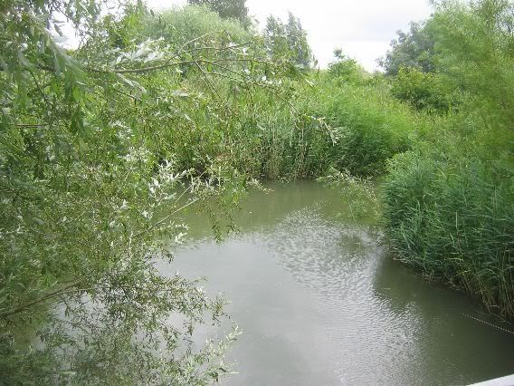 Grienden
