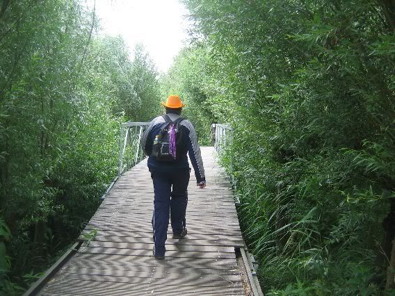 Brug