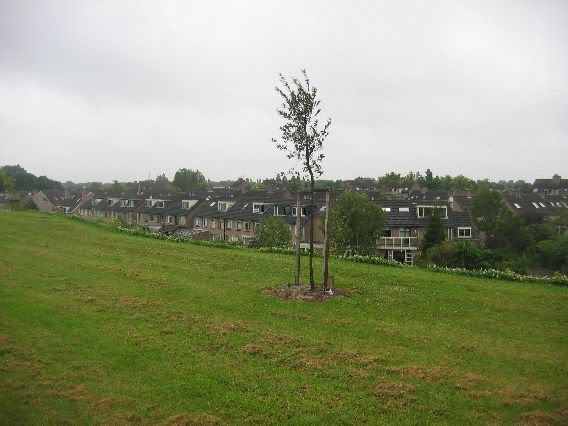 Huizen
