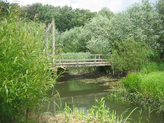 Rhoonse Grienden 2