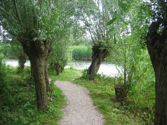 Rhoonse Grienden 3