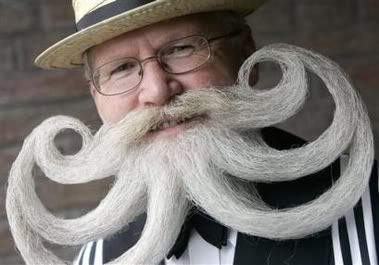 CrazyBeard1.jpg