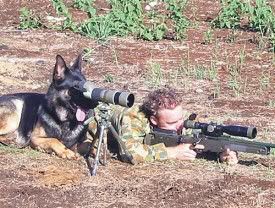 dog_gun.jpg