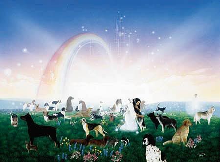 rainbowbridge.jpg