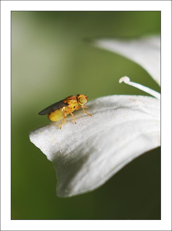 IMAGE: http://i83.photobucket.com/albums/j308/aleksa07/kiddo.jpg