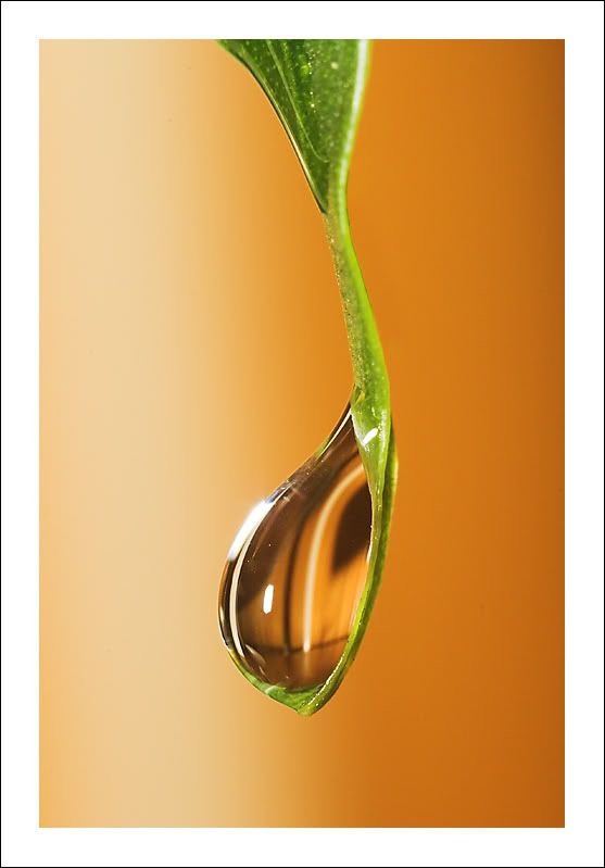 IMAGE: http://i83.photobucket.com/albums/j308/aleksa07/nirvana.jpg