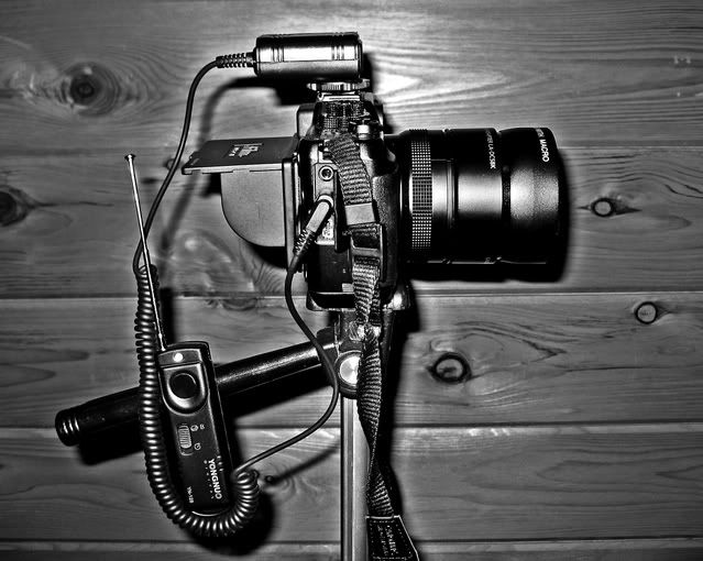 IMAGE: http://i83.photobucket.com/albums/j308/ndhernan/Canon%20G10%20Shots/IMG_7451.jpg