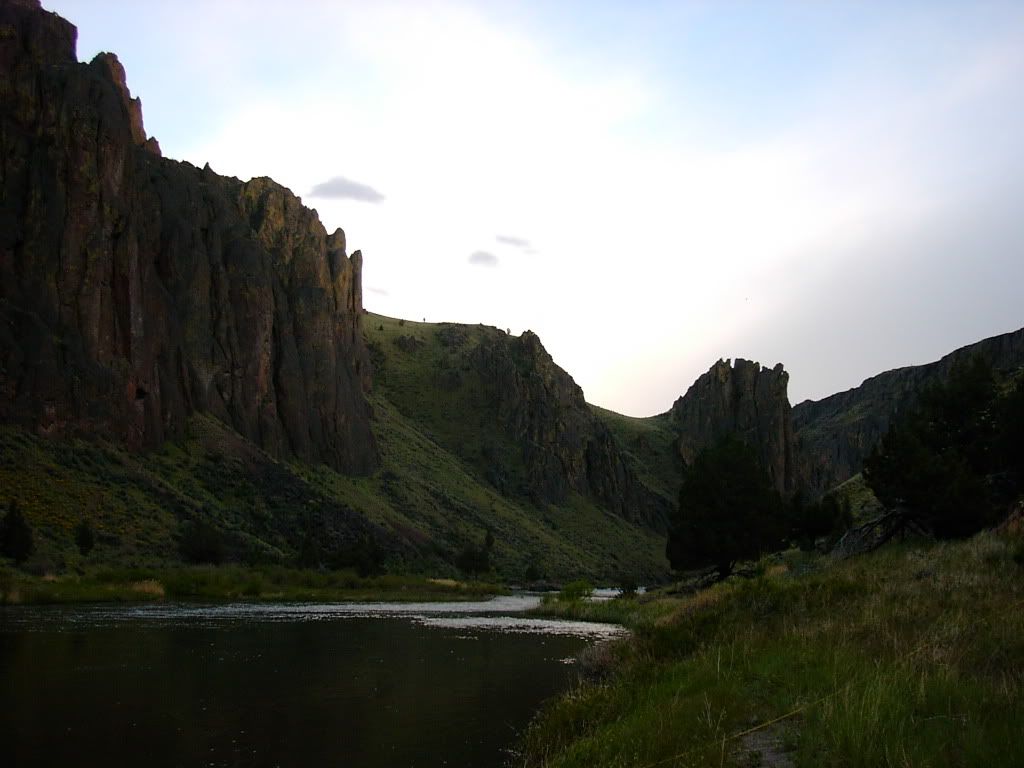 PICT0985.jpg