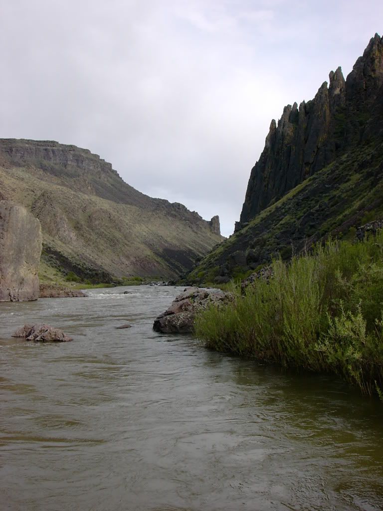 PICT0990.jpg