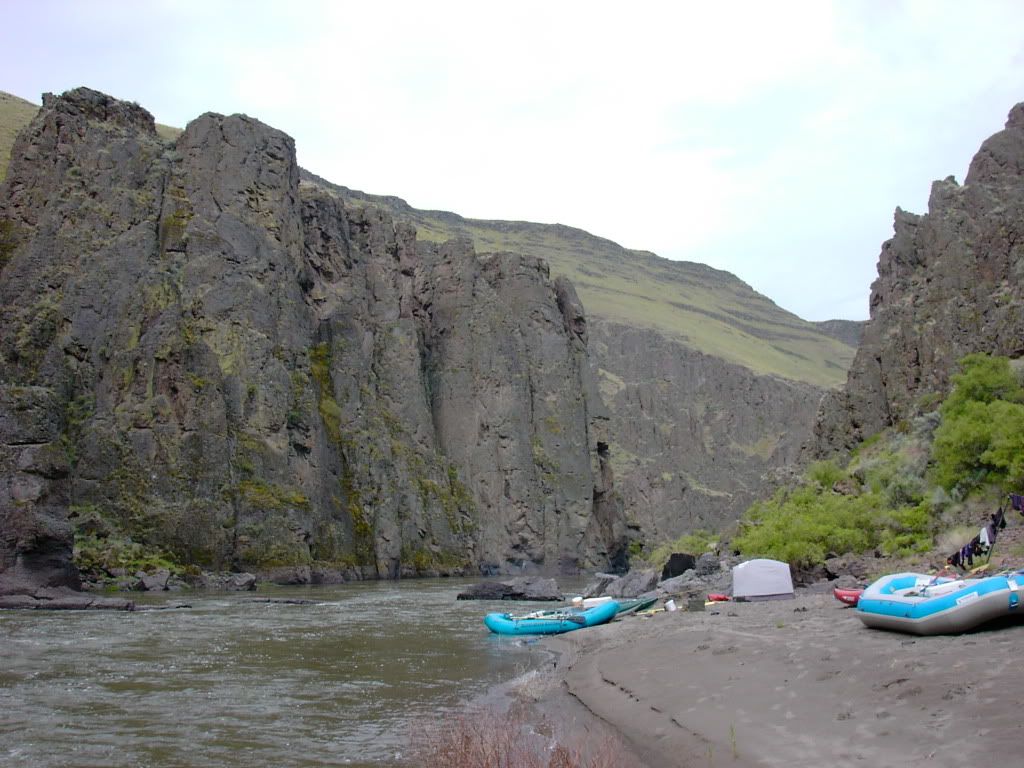 PICT0993.jpg