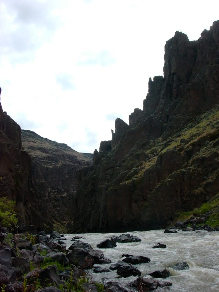 PICT0994.jpg
