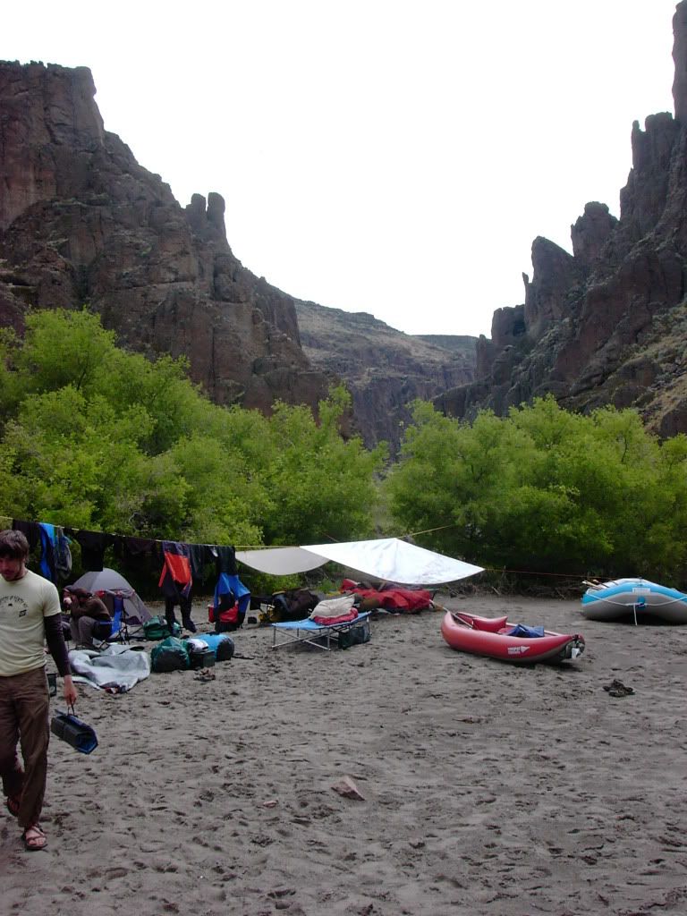 PICT0995.jpg