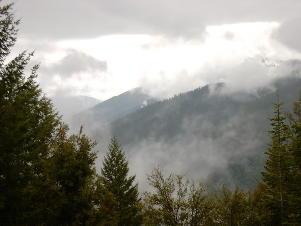 PICT1002.jpg