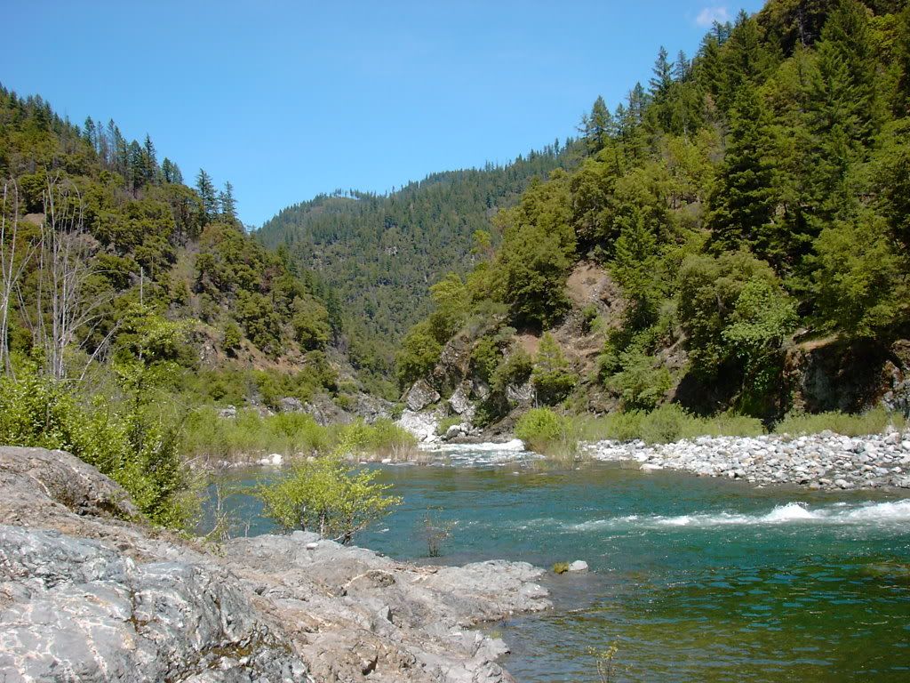 PICT1011.jpg
