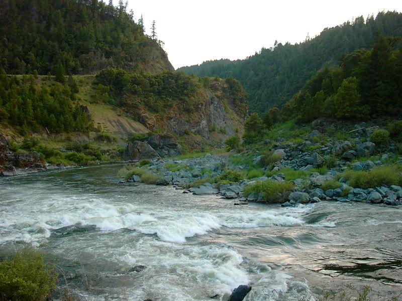 PICT1024.jpg