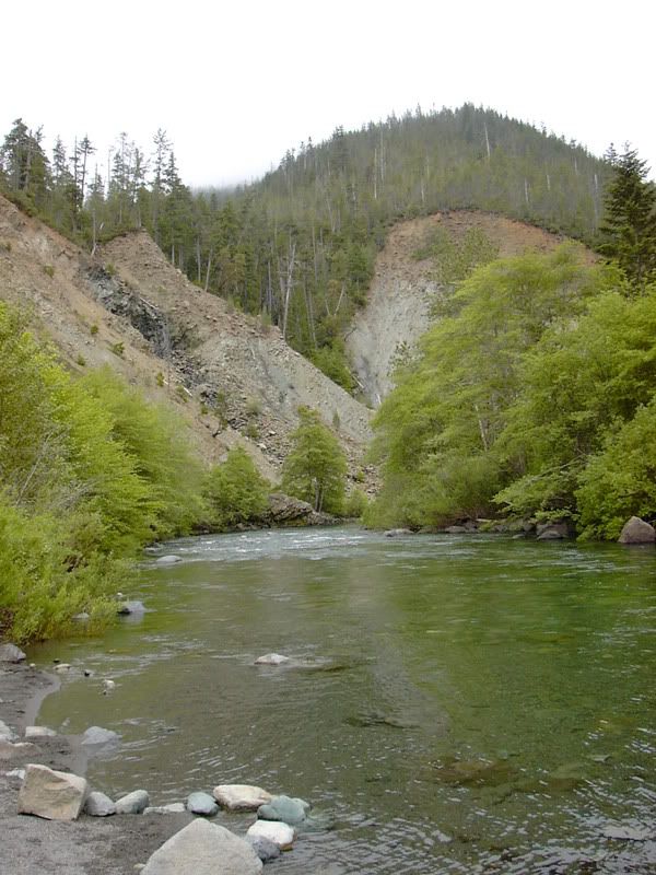 PICT1030.jpg