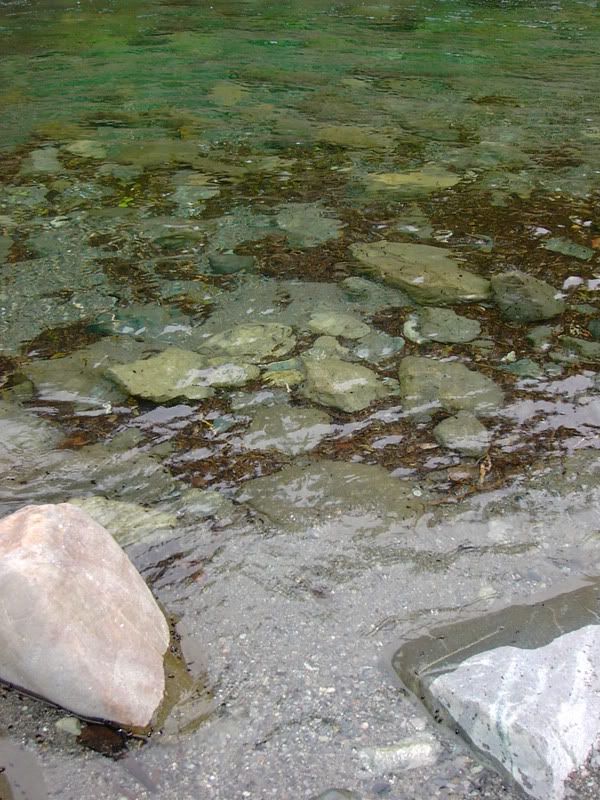 PICT1031.jpg