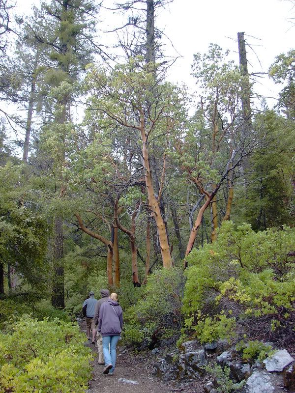 PICT1069.jpg