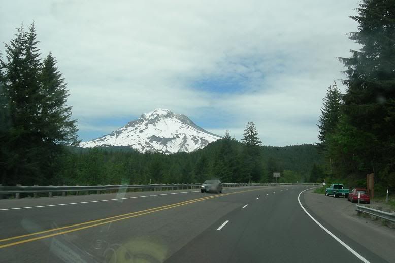 DSCN2120-rs.jpg