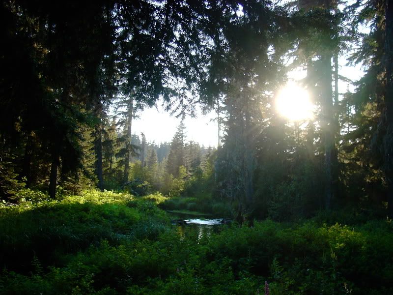 PICT1137.jpg