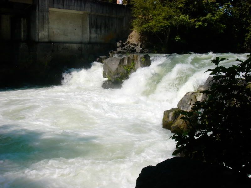 PICT1141.jpg