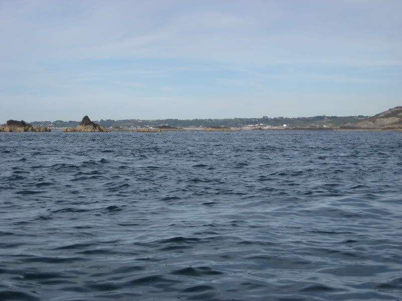 IMG_0124.jpg