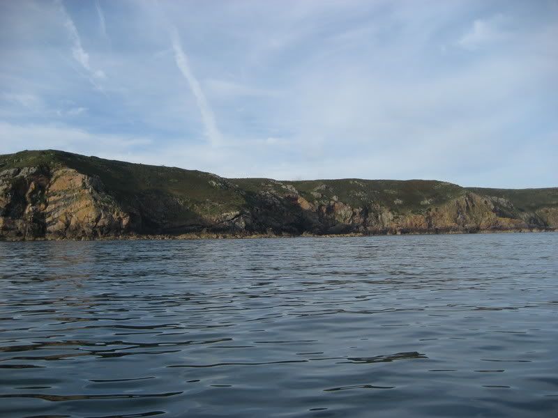 IMG_0130.jpg