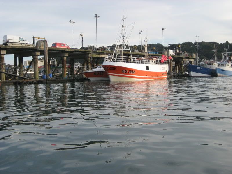 IMG_0156.jpg