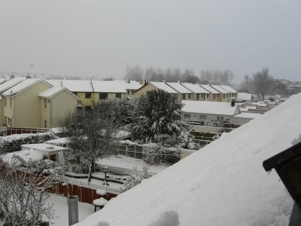 n793235600_5824356_6614.jpg