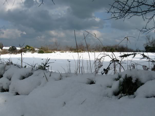 n793235600_5828627_1163.jpg