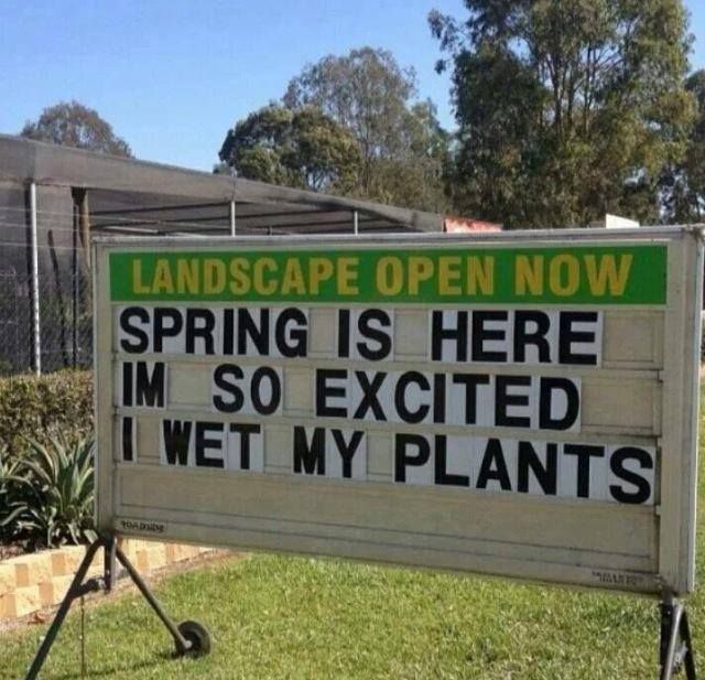 10007481_10152291068028464_1475191042_n_