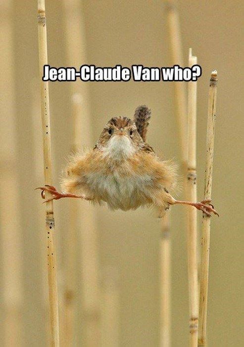 1453317_637875956262834_1134145686_n_zps