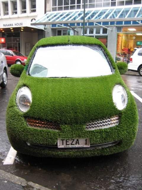 Grass-Car_zps7b766fd1.jpg