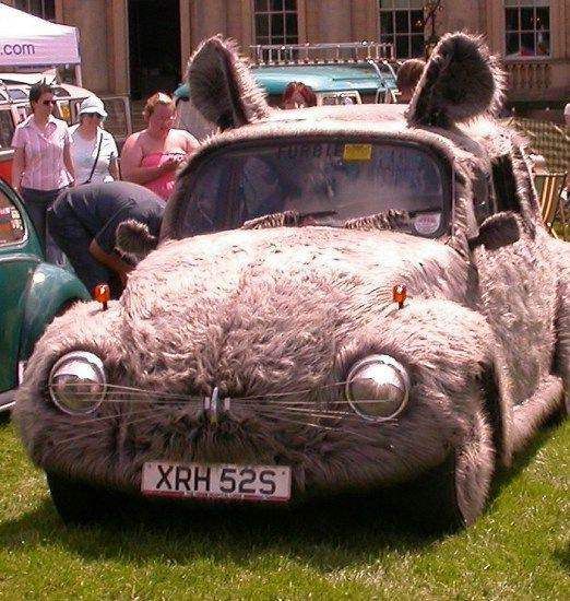 bunnycar_zpse6d9a7fd.jpg