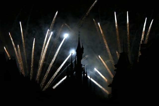Disney Annual Passes