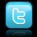twitter_icon-1