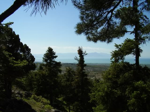 Image00004.jpg