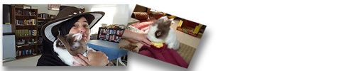 photo bunnytownesiggy.jpg