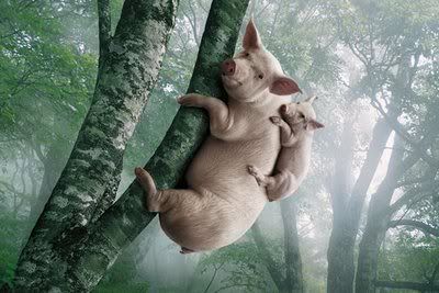 Pig_climb_the_tree.jpg